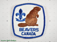 Beavers Canada